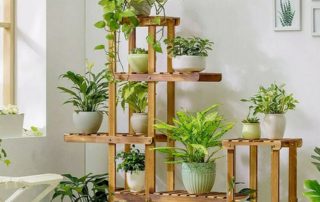 Apportez une touche de nature apaisante chez vous avec les étagères pour plantes !