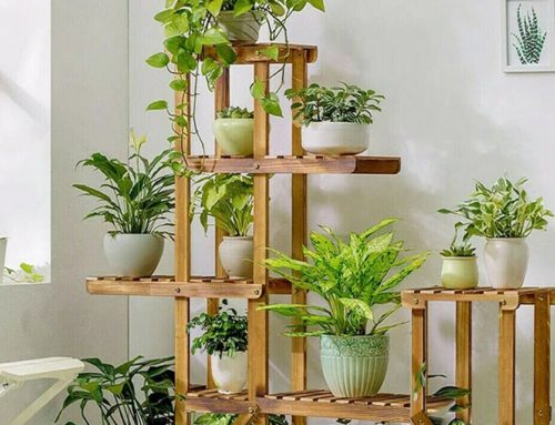 Apportez une touche de nature apaisante chez vous avec les étagères pour plantes !
