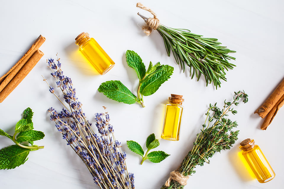 L'aromathérapie : les bienfaits des huiles essentielles bio
