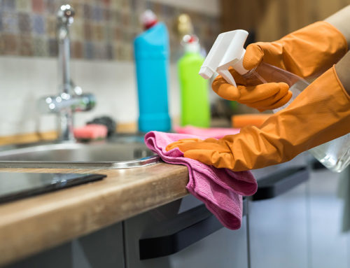 Aide-ménagère à domicile : ce que vous devez savoir sur la profession !