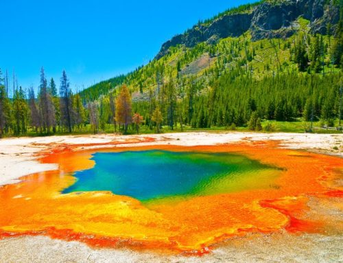 Les merveilles naturelles du parc national de Yellowstone, États-Unis