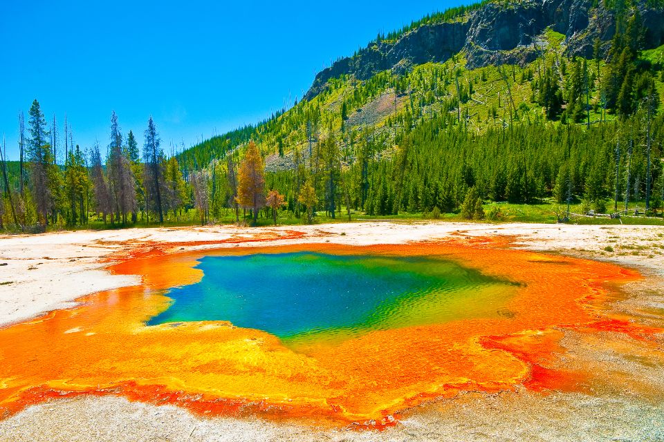 Les merveilles naturelles du parc national de Yellowstone, États-Unis