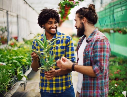 Comment choisir les bons végétaux en pépinière pour son jardin ?
