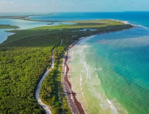 Top 5 des meilleures activités à faire lors de votre voyage sur la Riviera Maya