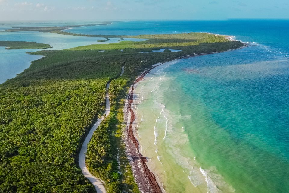 Top 5 des meilleures activités à faire lors de votre voyage sur la Riviera Maya