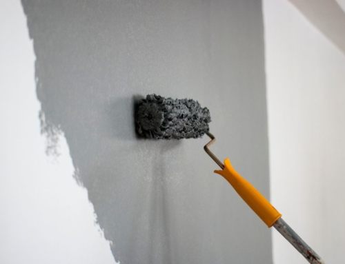 Peinture intérieure : comment obtenir un rendu propre et durable ?